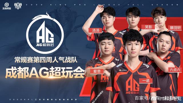 毛球推廣中