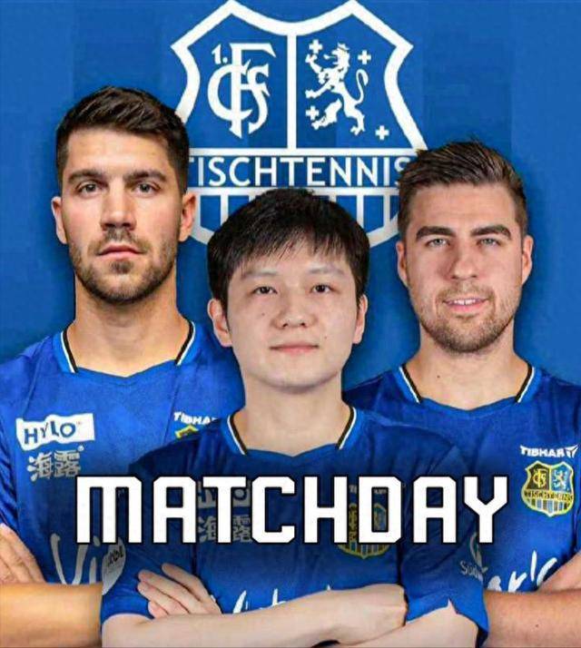 经验丰富的 经验丰富的